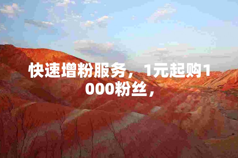 快速增粉服务，1元起购1000粉丝，5000粉丝套餐优惠中。