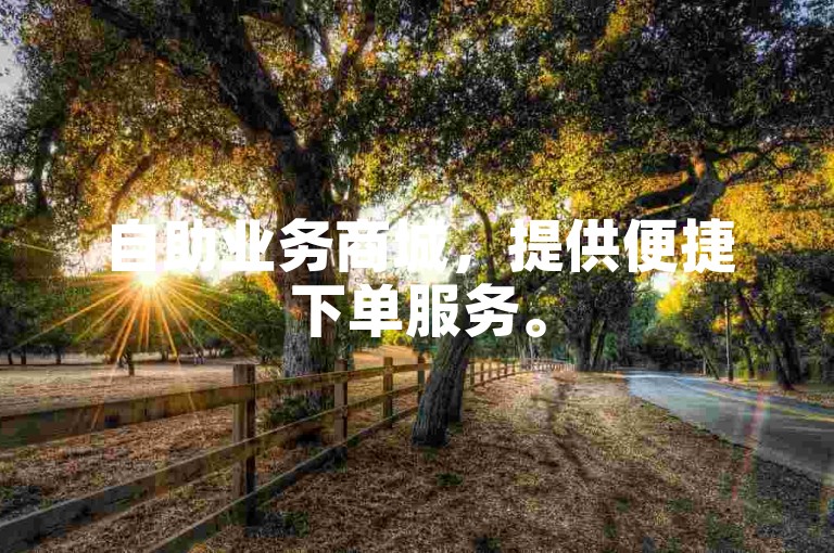 自助业务商城，提供便捷下单服务。