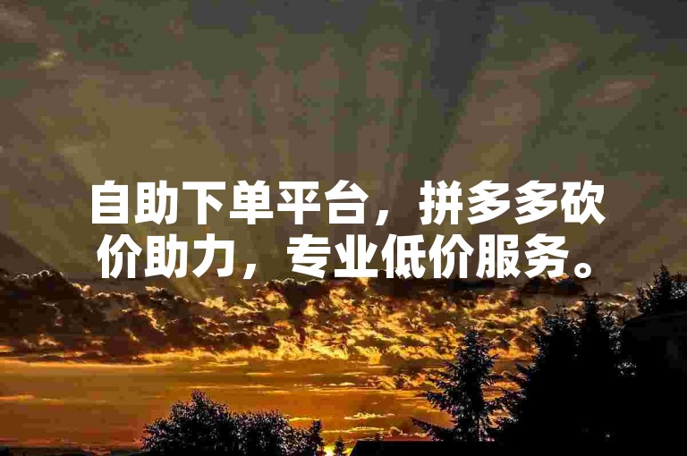 自助下单平台，拼多多砍价助力，专业低价服务。