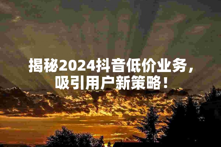 揭秘2024抖音低价业务，吸引用户新策略！