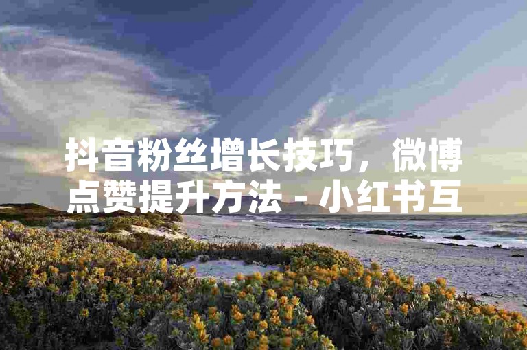 抖音粉丝增长技巧，微博点赞提升方法 - 小红书互动平台优惠