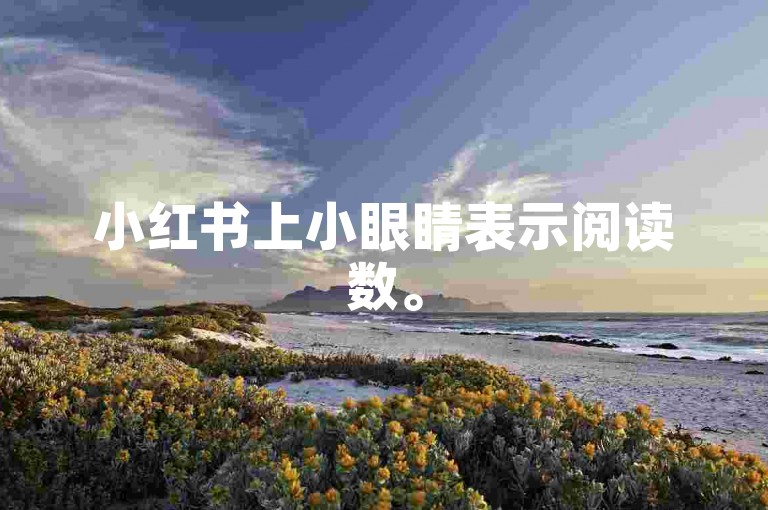 小红书上小眼睛表示阅读数。