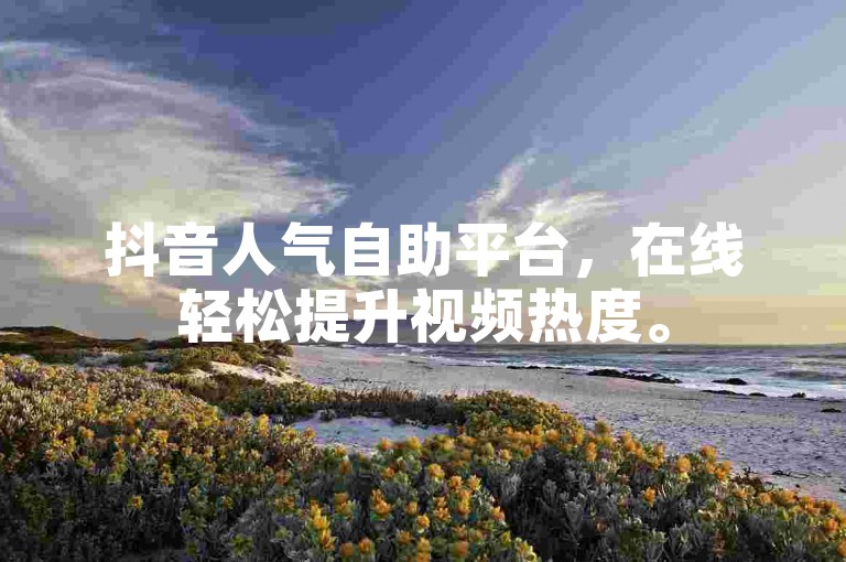 抖音人气自助平台，在线轻松提升视频热度。