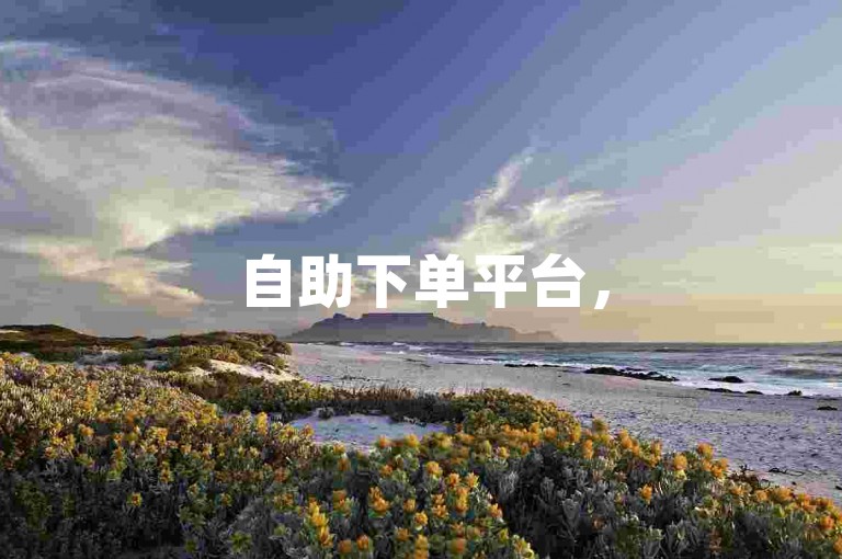自助下单平台，5元获取1000赞，轻松提升人气。