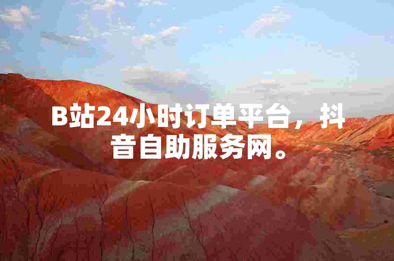 B站24小时订单平台，抖音自助服务网。
