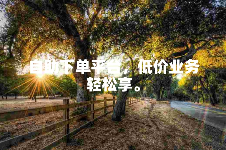 自助下单平台，低价业务轻松享。