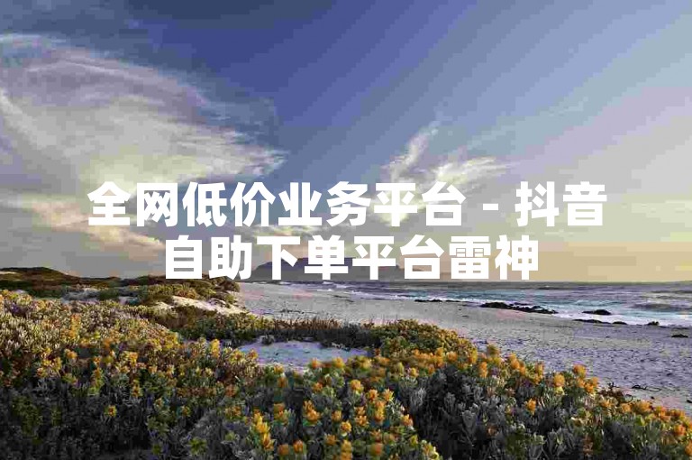 全网低价业务平台 - 抖音自助下单平台雷神