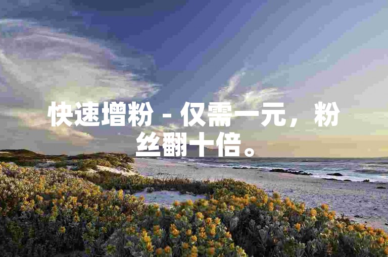 快速增粉 - 仅需一元，粉丝翻十倍。