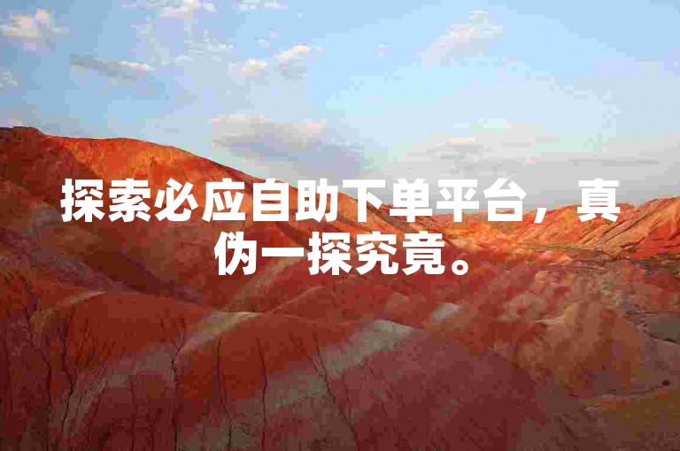 探索必应自助下单平台，真伪一探究竟。