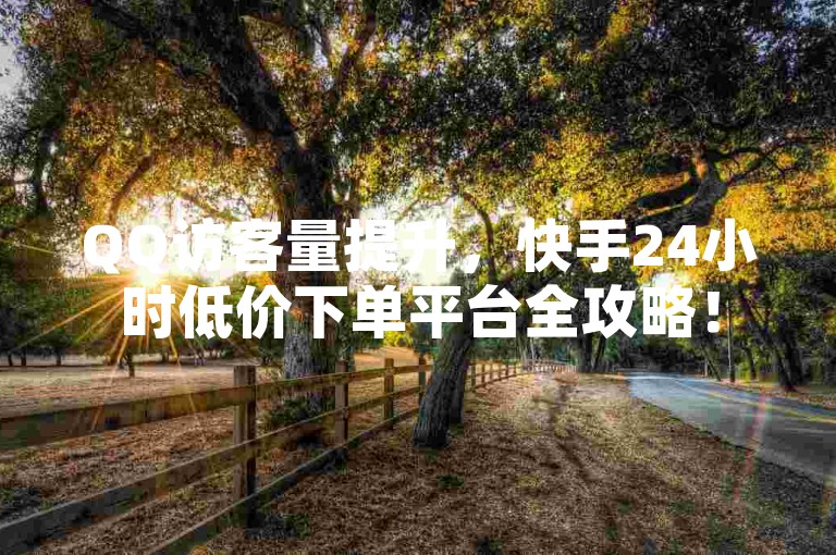 QQ访客量提升，快手24小时低价下单平台全攻略！