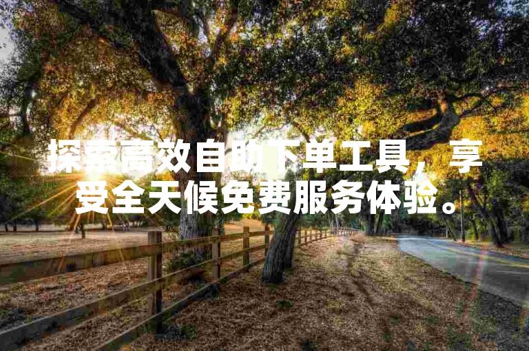 探索高效自助下单工具，享受全天候免费服务体验。