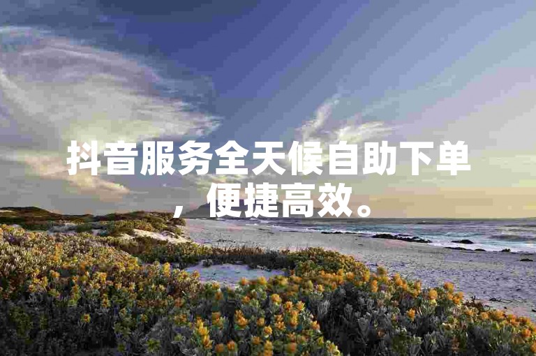 抖音服务全天候自助下单，便捷高效。