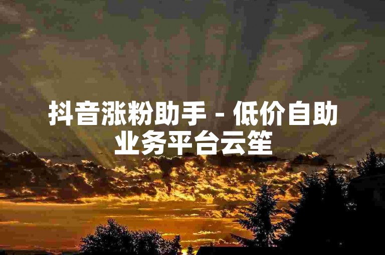 抖音涨粉助手 - 低价自助业务平台云笙