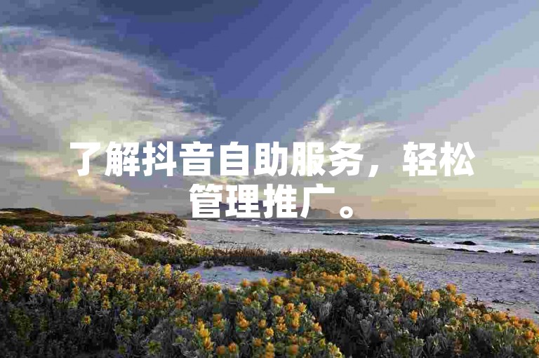 了解抖音自助服务，轻松管理推广。