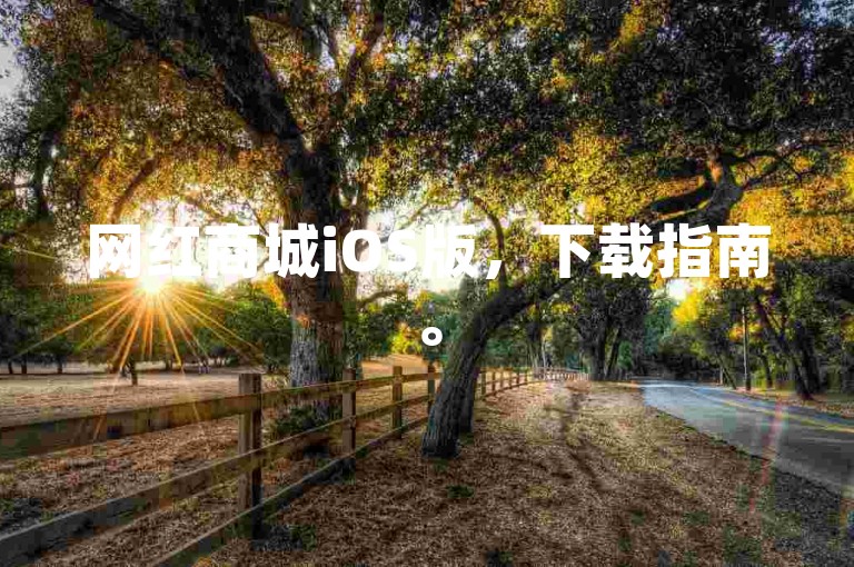 网红商城iOS版，下载指南。