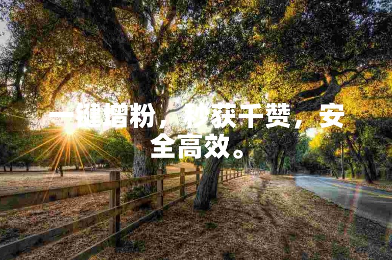 一键增粉，秒获千赞，安全高效。