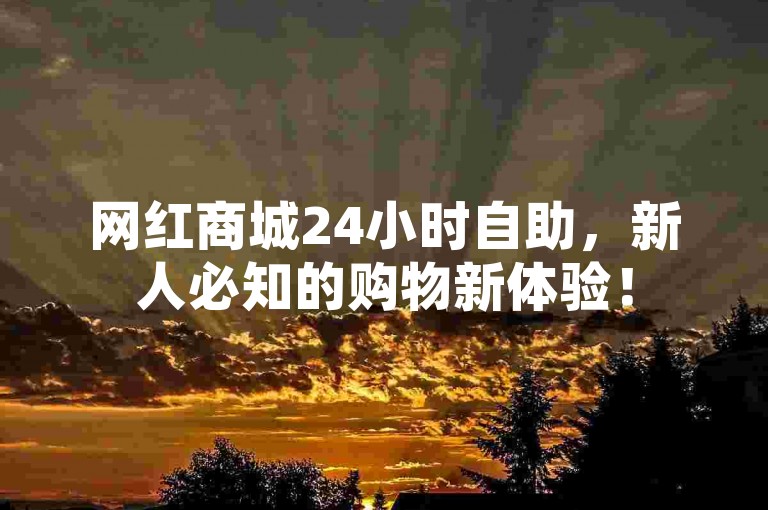 网红商城24小时自助，新人必知的购物新体验！