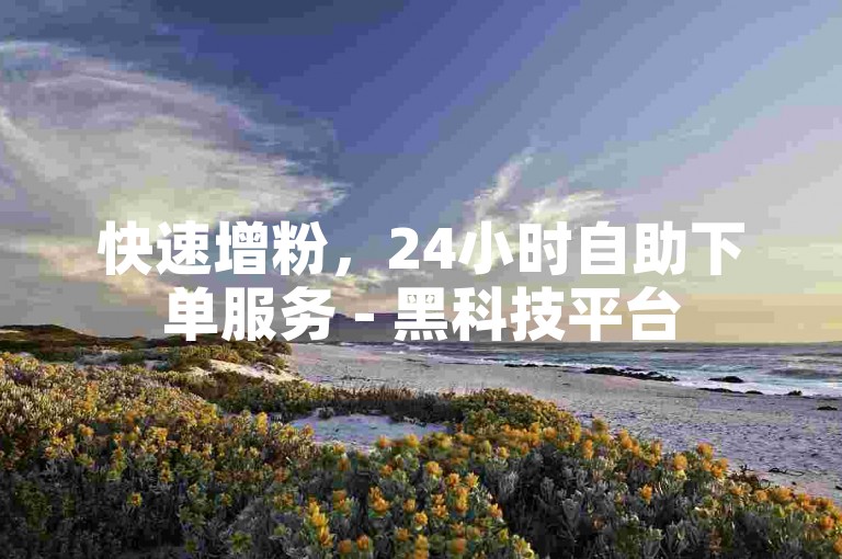 快速增粉，24小时自助下单服务 - 黑科技平台