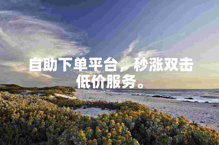 自助下单平台，秒涨双击低价服务。