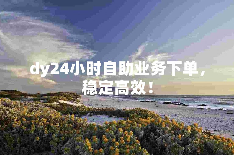 dy24小时自助业务下单，稳定高效！