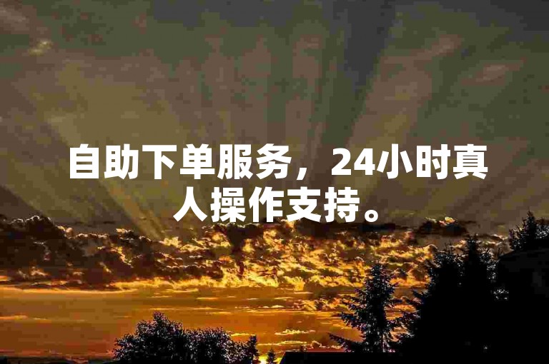 自助下单服务，24小时真人操作支持。