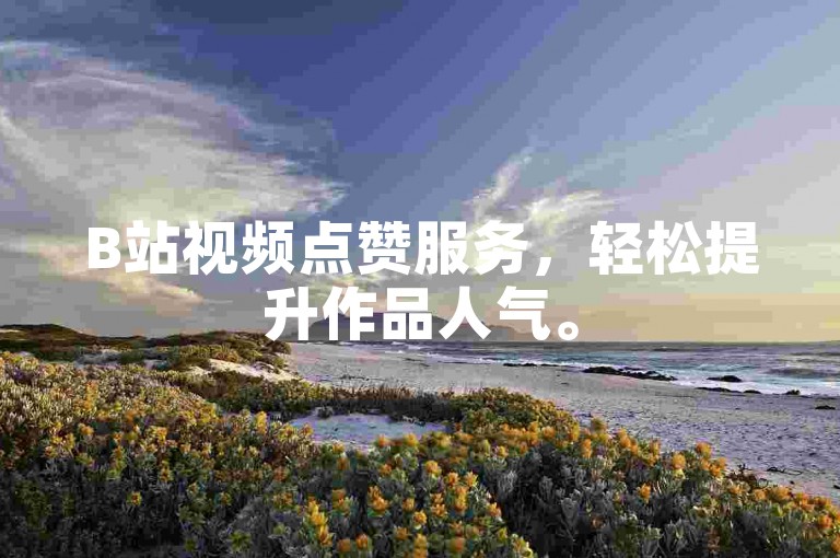 B站视频点赞服务，轻松提升作品人气。