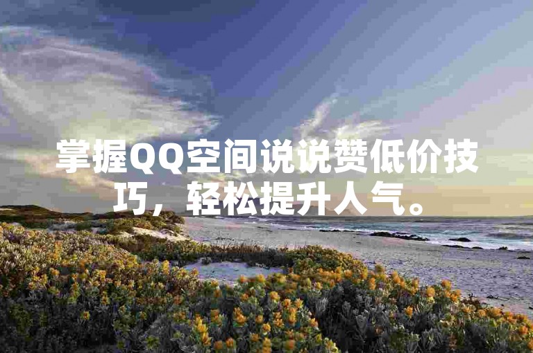 掌握QQ空间说说赞低价技巧，轻松提升人气。