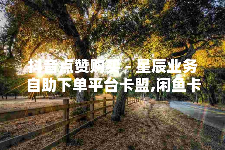 抖音点赞购买 - 星辰业务自助下单平台卡盟,闲鱼卡盟下单平台 - 特价名片赞0.1元起,免费领名片赞,空间人气、qq钻、大会员、名片赞、说说赞。