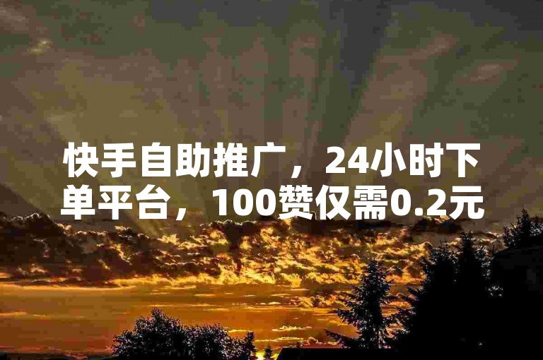 快手自助推广，24小时下单平台，100赞仅需0.2元。
