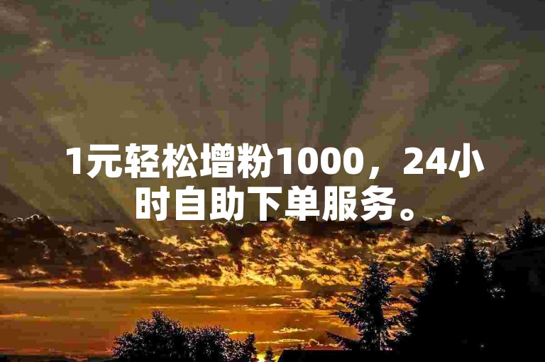 1元轻松增粉1000，24小时自助下单服务。