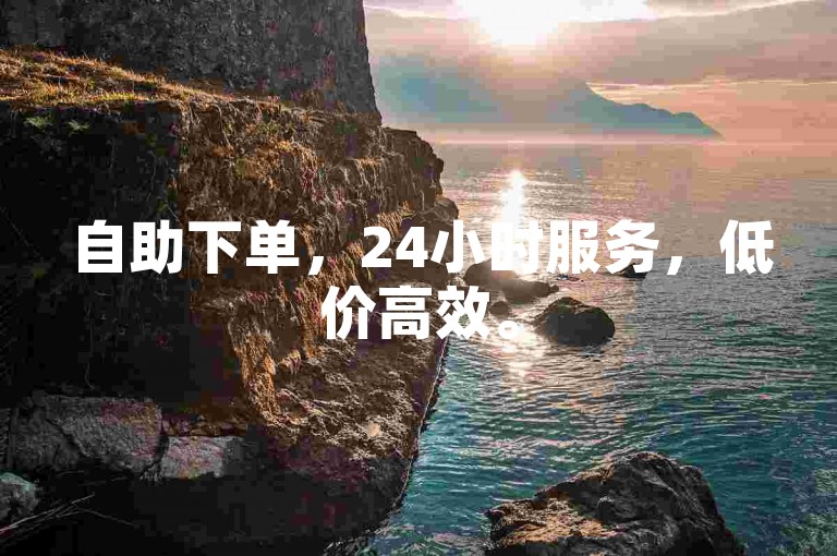 自助下单，24小时服务，低价高效。