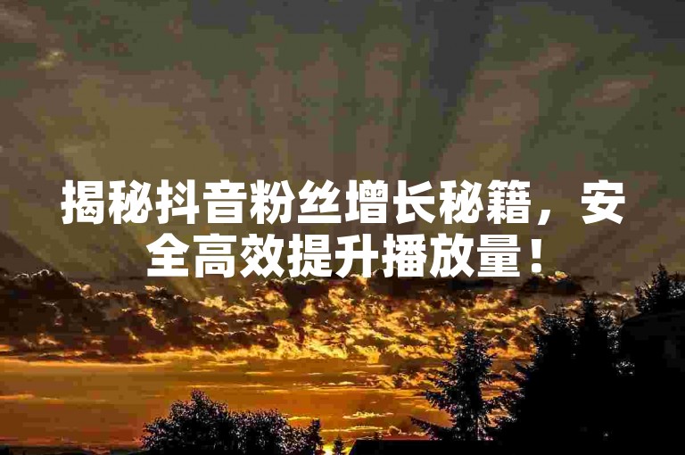 揭秘抖音粉丝增长秘籍，安全高效提升播放量！