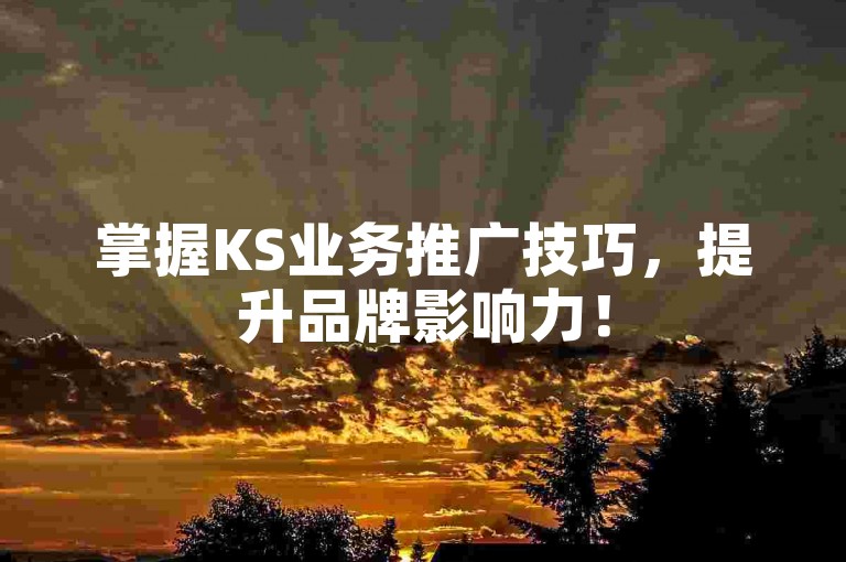 掌握KS业务推广技巧，提升品牌影响力！