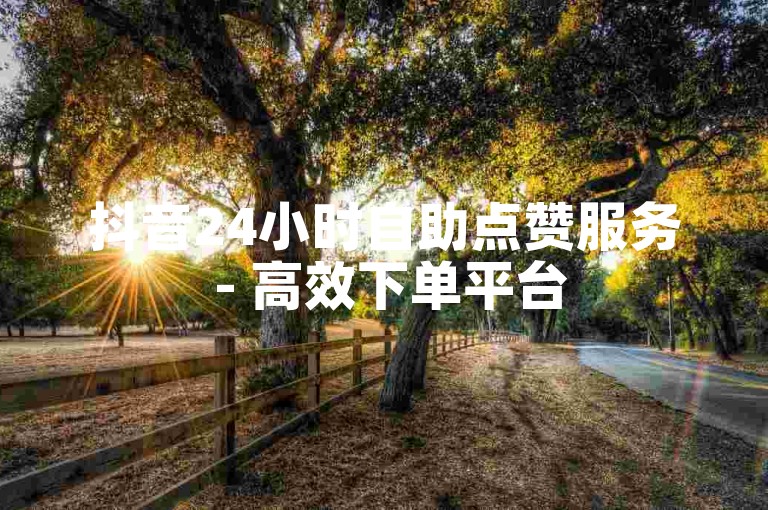 抖音24小时自助点赞服务 - 高效下单平台