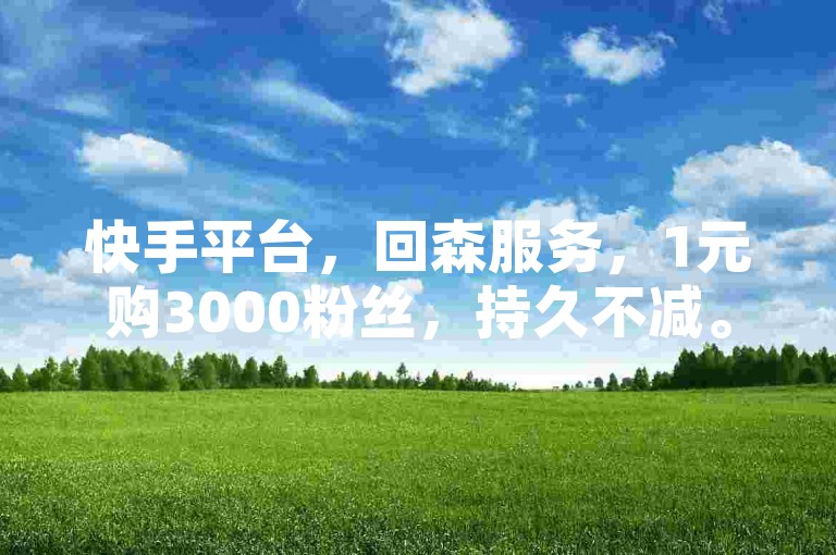 快手平台，回森服务，1元购3000粉丝，持久不减。