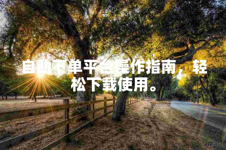 自助下单平台操作指南，轻松下载使用。