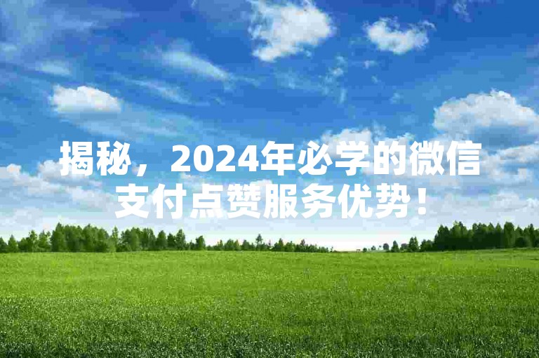 揭秘，2024年必学的微信支付点赞服务优势！