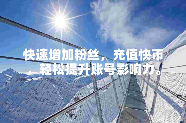 快速增加粉丝，充值快币，轻松提升账号影响力。