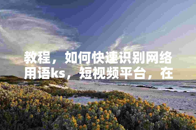 教程，如何快速识别网络用语ks，短视频平台，在评论区，ks常指代短视频平台快手。，游戏术语，在某些游戏中，ks是英文Kill Steal的简称，意为抢人头。，网络流行词，有时ks也是英文kiss的简写，表示亲吻。