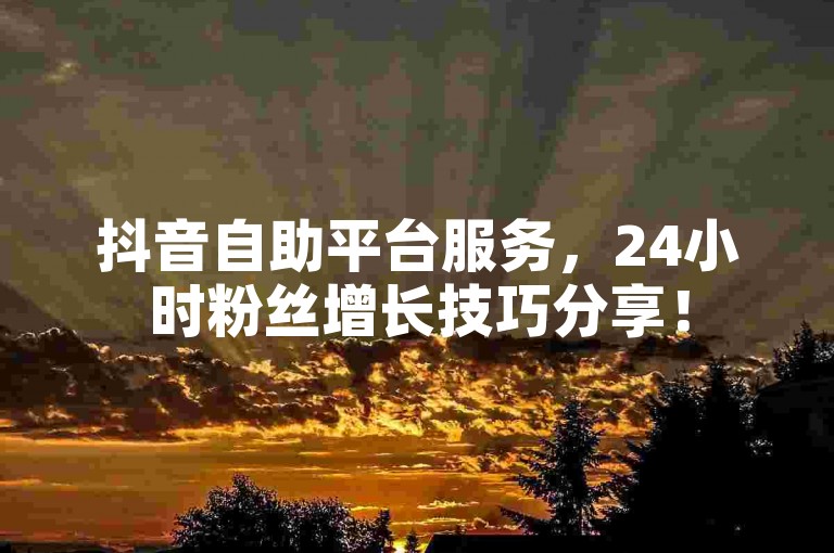 抖音自助平台服务，24小时粉丝增长技巧分享！