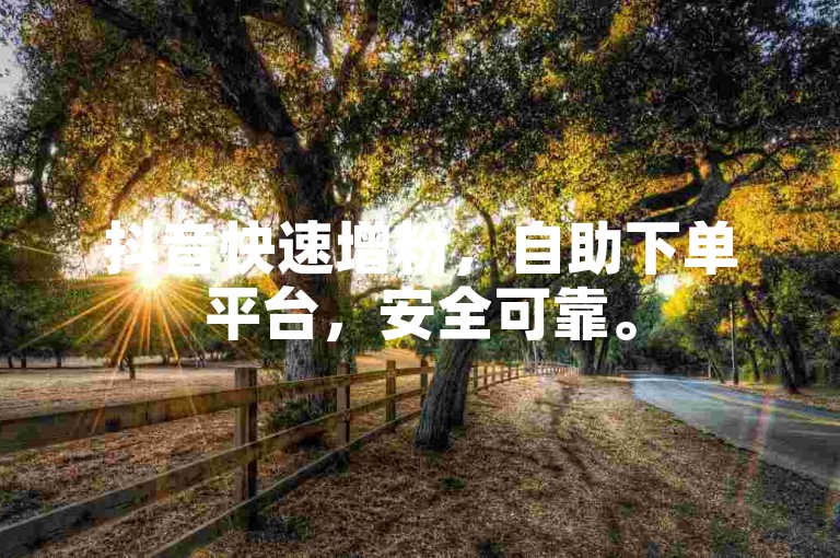 抖音快速增粉，自助下单平台，安全可靠。