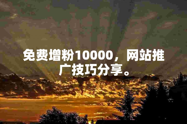 免费增粉10000，网站推广技巧分享。