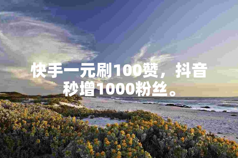 快手一元刷100赞，抖音秒增1000粉丝。