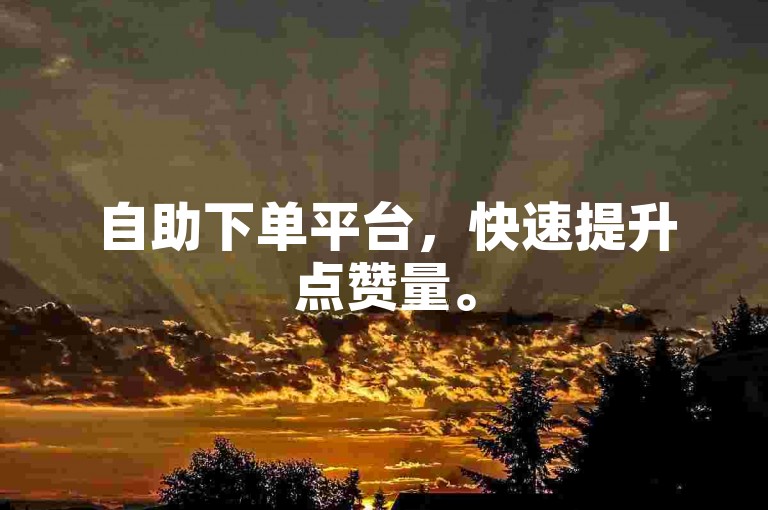 自助下单平台，快速提升点赞量。