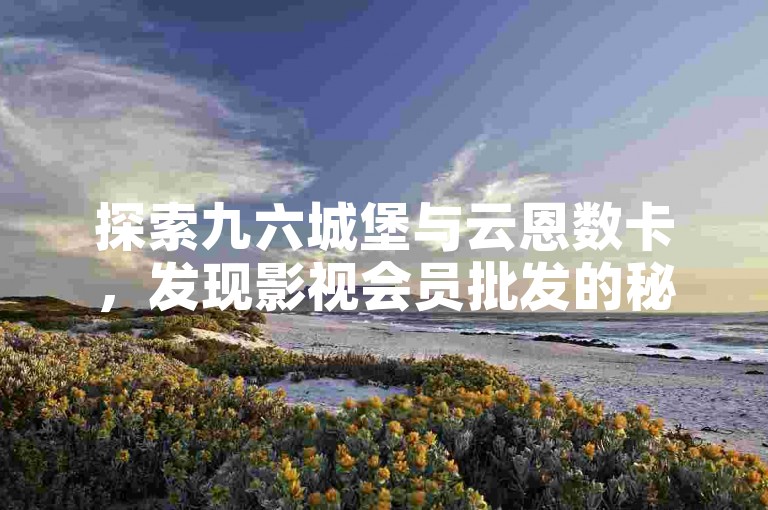 探索九六城堡与云恩数卡，发现影视会员批发的秘密。