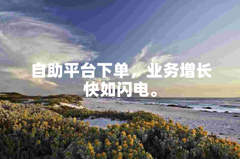 自助平台下单，业务增长快如闪电。