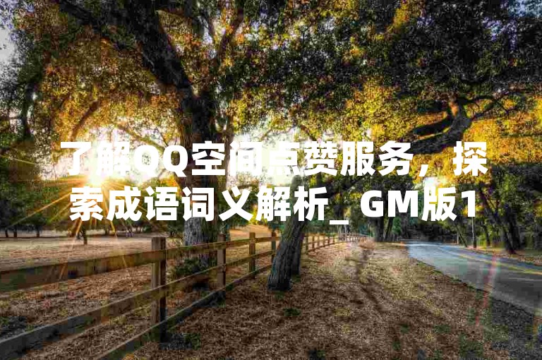 了解QQ空间点赞服务，探索成语词义解析_ GM版169.324.131。