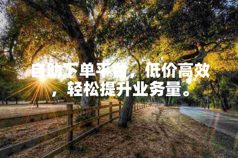 自助下单平台，低价高效，轻松提升业务量。