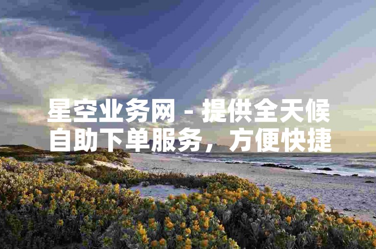 星空业务网 - 提供全天候自助下单服务，方便快捷。