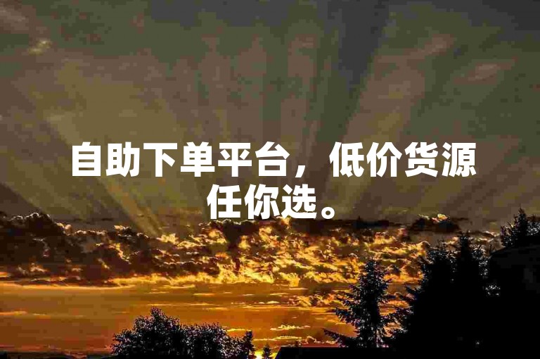 自助下单平台，低价货源任你选。